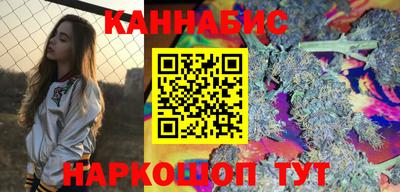 дмт Гатчина