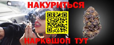 дмт Гатчина
