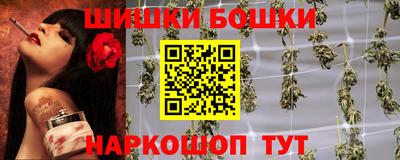 дмт Гатчина