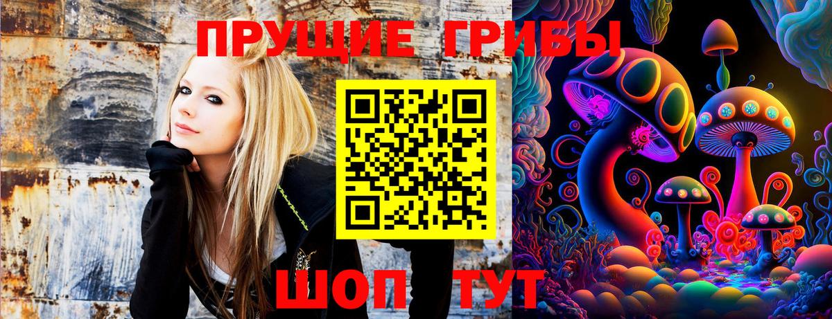 Псилоцибиновые грибы Psilocybine cubensis  Псилоцибиновые грибы мухоморы  купить закладку  Вход с VPN  Пугачёв 