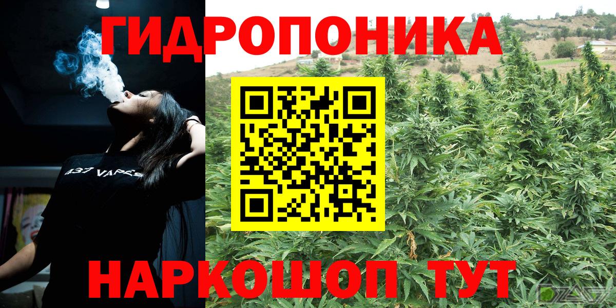 Конопля семена  Марихуана VHQ  Вход с VPN  Марихуана OG Kush  Пугачёв 